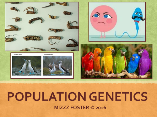 Population Genetics: Selection, Isolation, Speciation Power Point