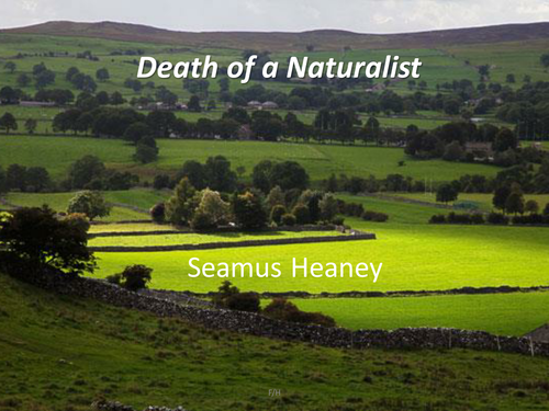 WJEC Eduqas Literature Poetry - 'Death of a Naturalist', by Seamus Heaney.