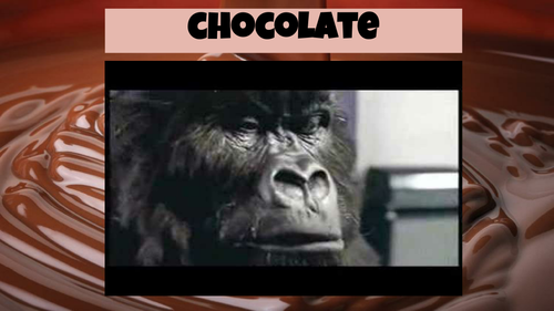 All About Chocolate! An Introduction to Chocolate - Report/Creative Writing -HOOK: Cadbury's Gorilla