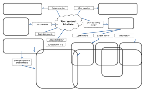 Photosynthesis mind map