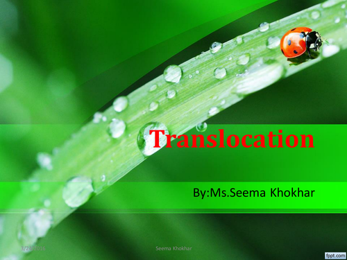 Translocation...... Starter ........ Plenary.......Activity.......Assessment ....ppt all in one