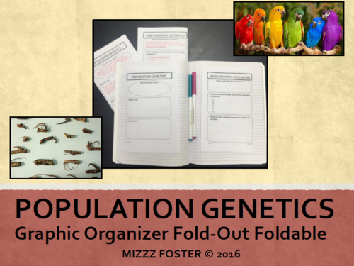 Population Genetics: Selection, Isolation, Speciation Graphic Organizer