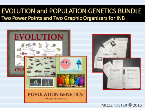 Evolution and Population Genetics Big Bundle: 2 Ppts and 2 Graphic Organizers