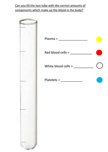 Humans and other animals Science lesson blood