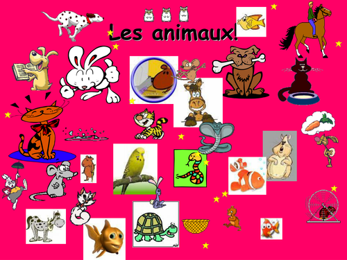 French Teaching Resources. PowerPoint Presentation: Animals/ Pets, Survey  & Millionaire Quiz