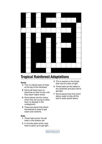 Tropical Rainforest Adaptations Crossword