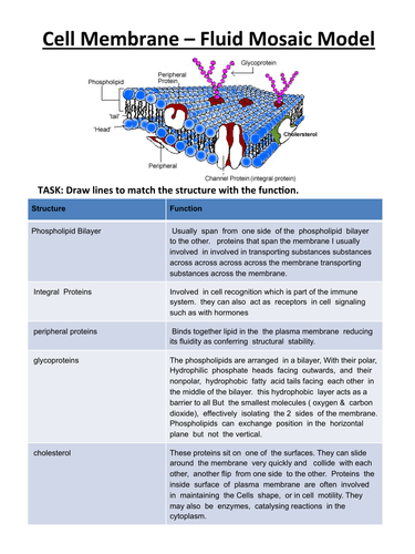 Cell Membrance Structure & Cell Transport