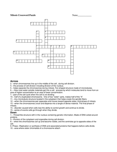 Mitosis Crossword Puzzle Teaching Resources