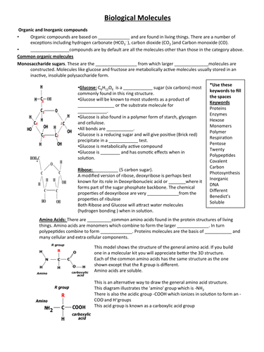 Biological Molecules - Worksheet