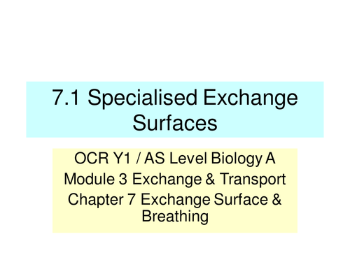 NEW OCR A Level Biology - Exchange Surfaces & Breathing