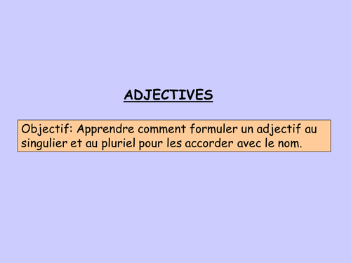 GCSE or AS FRENCH: Adjectives