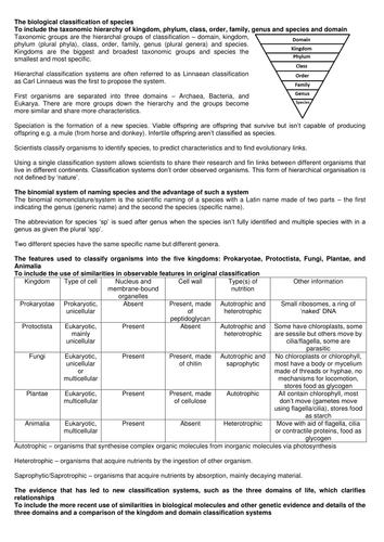 Classification and evolution