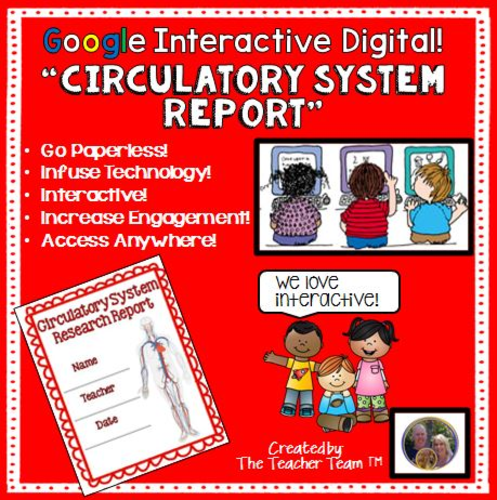 Google Interactive Digital! Circulatory System Report