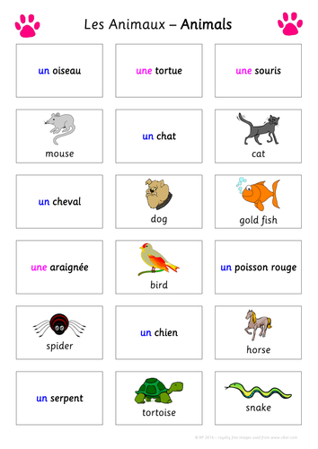 FUN Match-Up/Translate Activity - Les Animaux (Animals/Pets) - KS2 or KS3  French MFL | Teaching Resources