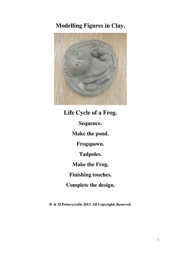 Life Cycle of a Frog. Clay modelling.