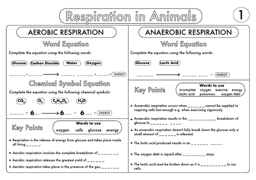 GCSE Worksheet on Respiration by beckystoke - Teaching Resources - Tes