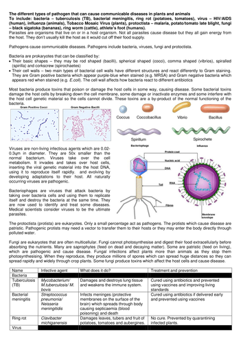 Communicable diseases, disease prevention and the immune system