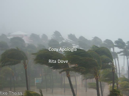 WJEC Eduqas Literature Poetry - 'Cozy Apologia', by Rita Dove.