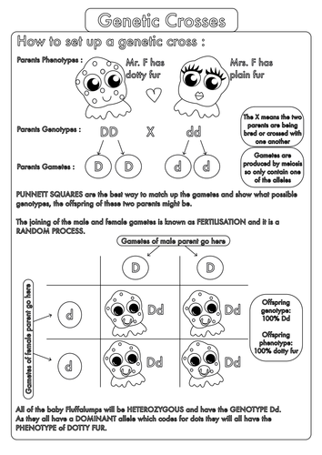 GCSE Inheritance and Genetic Crosses Sample Resource