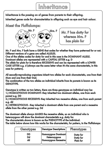 High School Biology: Inheritance and Genetic Crosses