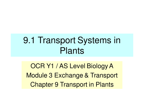 NEW OCR A Level Biology - Transport in Plants