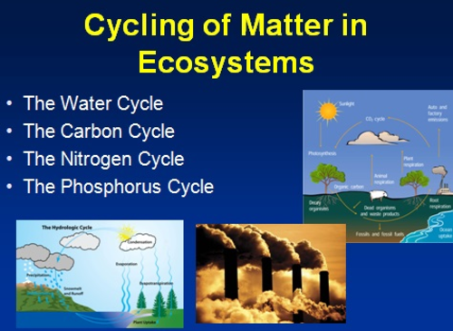 Diagram Of Water Cycles For Students 98