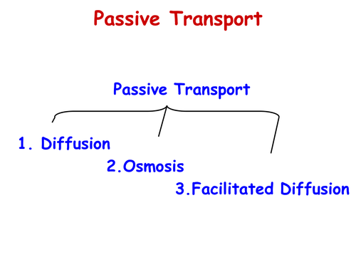 Transport Across Cell Membrane