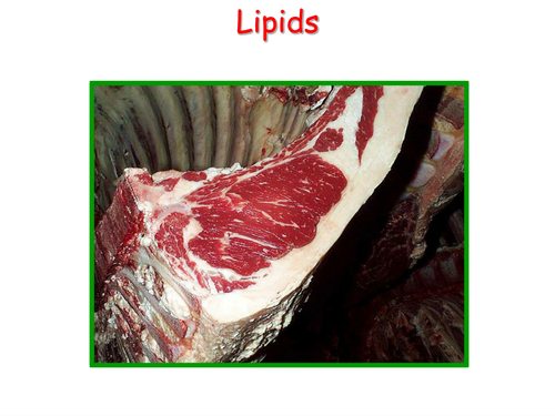 Lipids