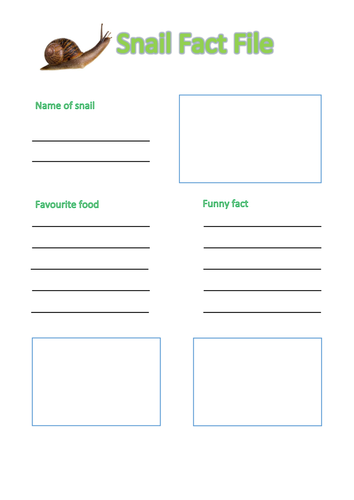 Snail fact file sheet to fill in.