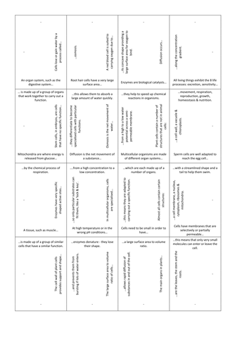 Life processes card-squares