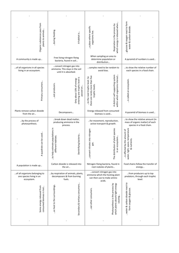 Ecology & environment card-squares