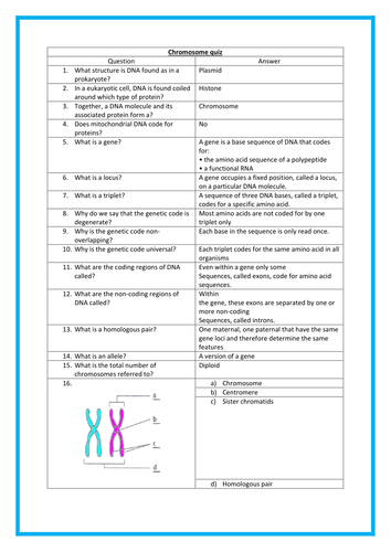 New AQA Spec: Structure of RNA