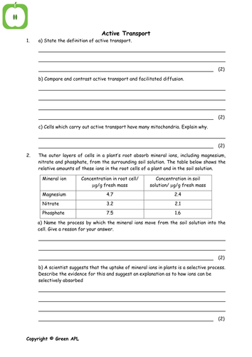 A level Biology revision (year 1)