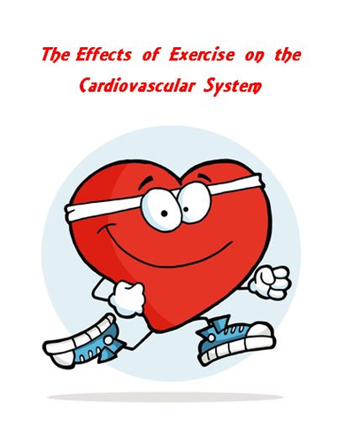 Cardiovascular System The Effects of Exercise Lab Activity 