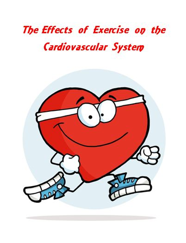 Cardiovascular System The Effects of Exercise Lab Activity
