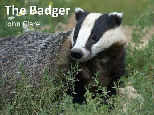 CCEA Literature Poetry- Nature and War - 'The Badger', by John Clare.