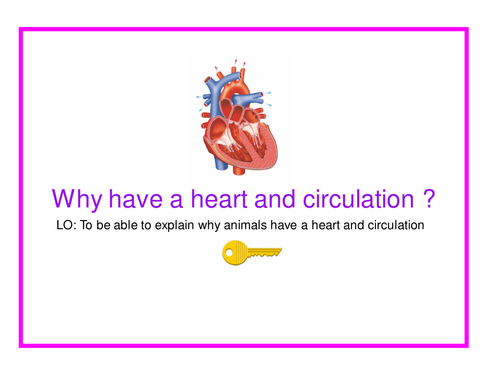 NEW Edexcel A-level Biology Topic 1 