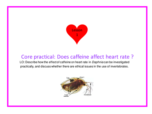 NEW Edexcel A-Level Biology CORE practicals Topic 1