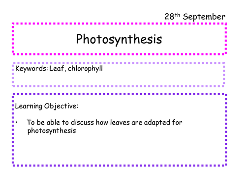 AQA GCSE Photosynthesis SOW