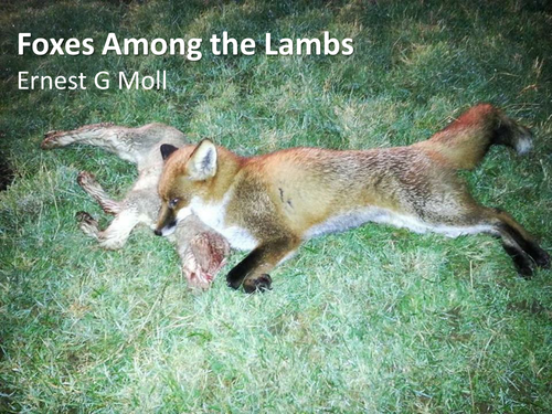 CCEA Literature Poetry- Nature and War - 'Foxes Among the Lambs', by Ernest G Moll.