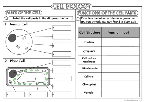 GCSE Biology Worksheet Pack: Cell Biology by beckystoke - Teaching