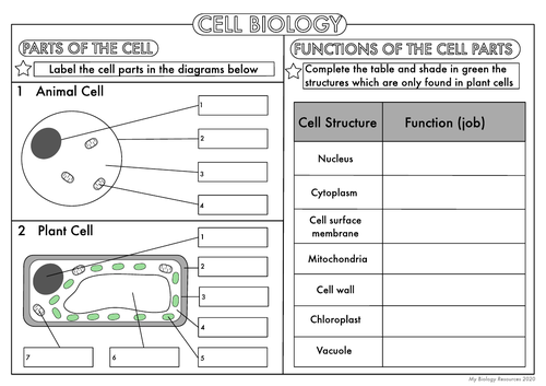 Printables Cell Biology Worksheets gcse cell biology worksheet pack by beckystoke teaching resources tes