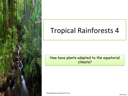 Tropical Rainforests: 4 Plant Adaptations. KS3 and KS4
