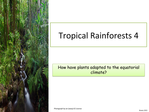 Rainforest Animal Adaptations Teaching Resources