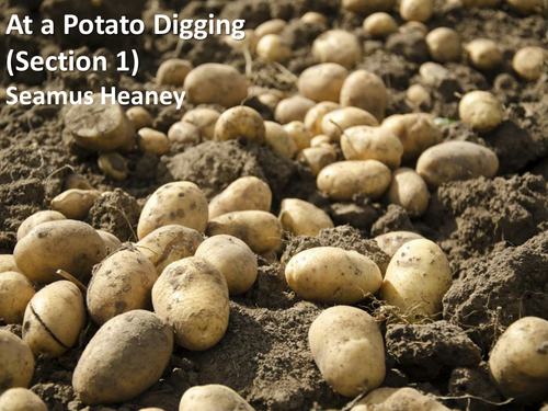 CCEA Literature Poetry- Heaney and Hardy - 'At a Potato Digging', by Seamus Heaney.