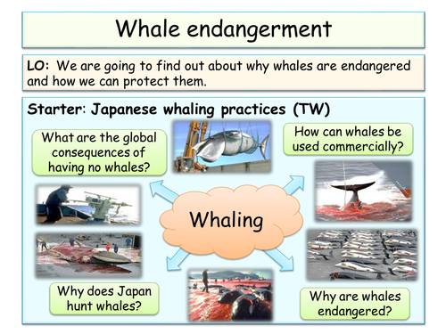 B2 - OCR - evolution and sustainability