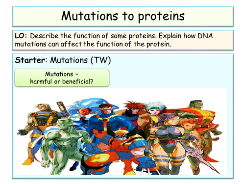 B3 - OCR - DNA and proteins