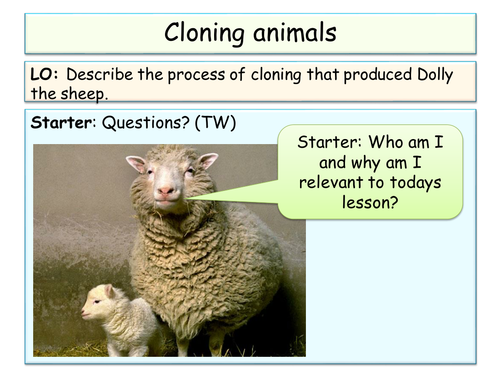 B3 - OCR - selective breeding, cloning and genetic engineering