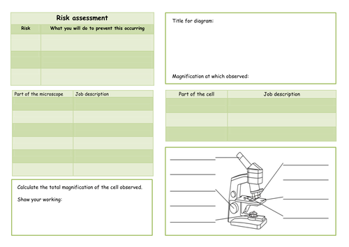 NEW KS3 year 7 sceince investigation skills level assessed tasks 