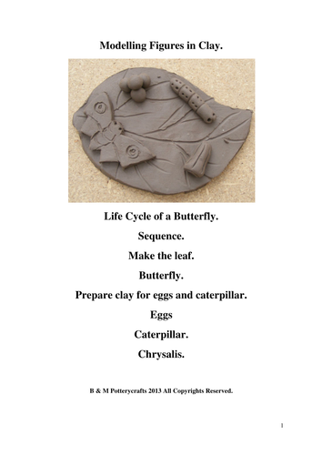 Life cycle of a butterfly.